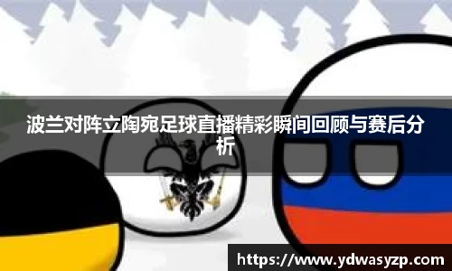 波兰对阵立陶宛足球直播精彩瞬间回顾与赛后分析