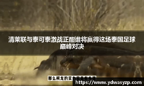 清莱联与泰可泰激战正酣谁将赢得这场泰国足球巅峰对决