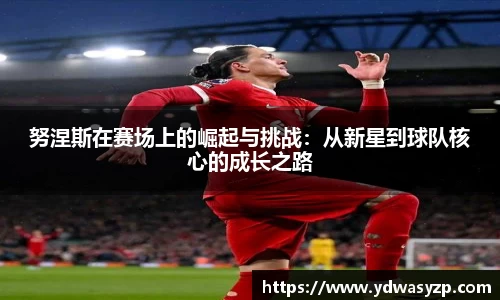 努涅斯在赛场上的崛起与挑战：从新星到球队核心的成长之路